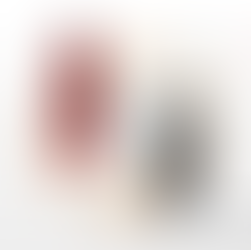 🔥 Arrestadores de Flama: La Barrera Vital que Protege Contra Explosiones💥