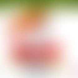 Construyendo Confianza y Seguridad con Nuestras Plataformas TC-10