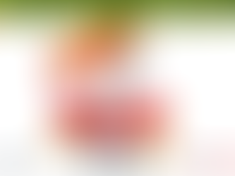 Construyendo Confianza y Seguridad con Nuestras Plataformas TC-10