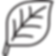 leaf-png