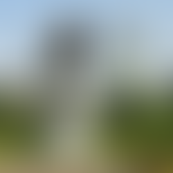 An eclectic homestay exchange in New England