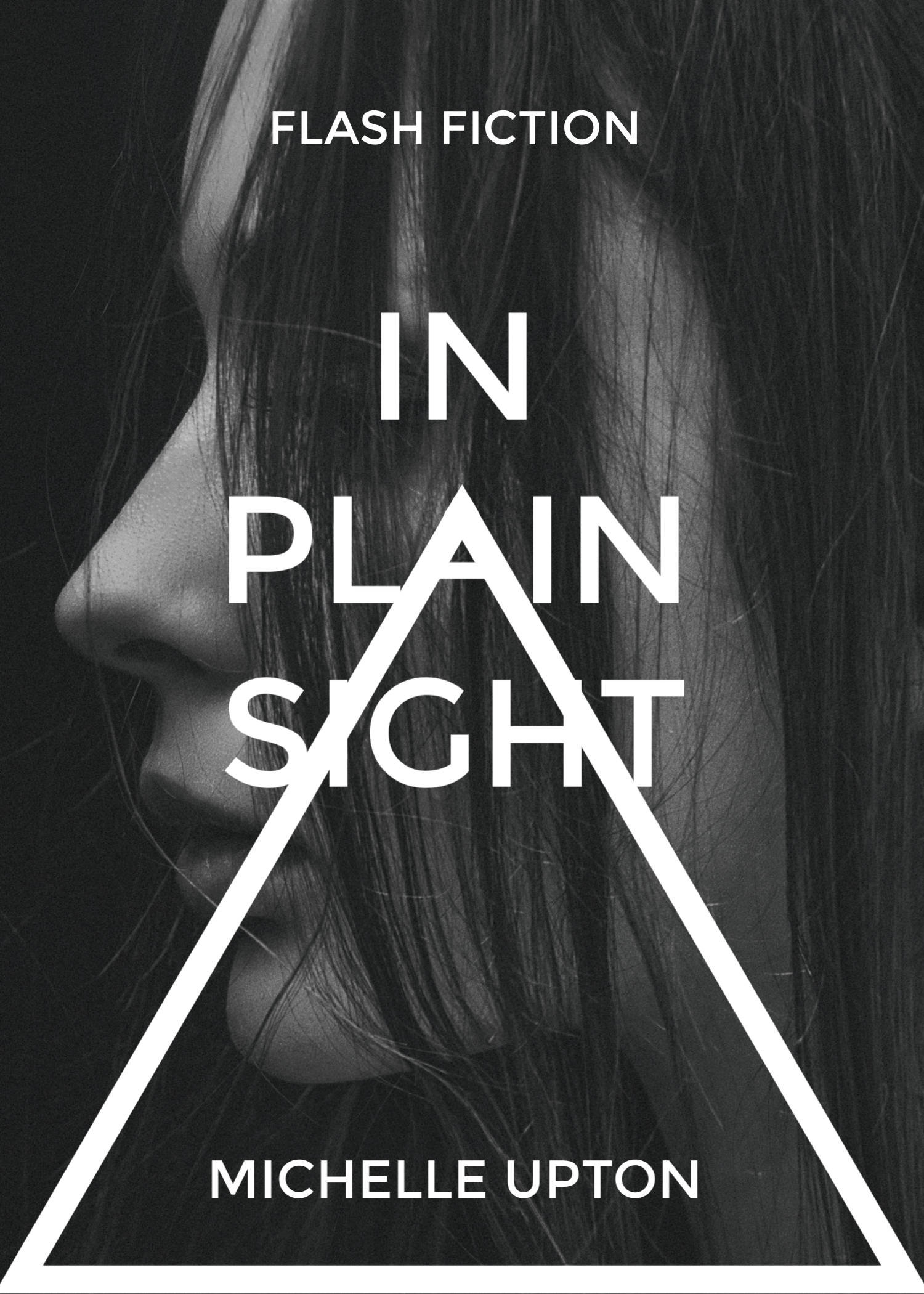 In Plain Sight 4