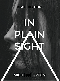 In Plain Sight 4.png