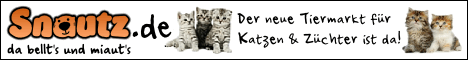 banner-katzen-468x60.gif