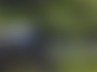 Термокарст, природа возникновения и последствия...