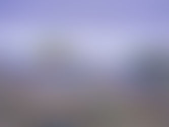 Циркумполярная сеть мониторинга активного слоя (CALM)