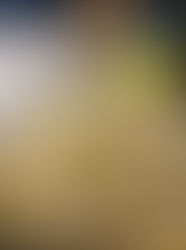 cheesy cacio e pepe popcorn