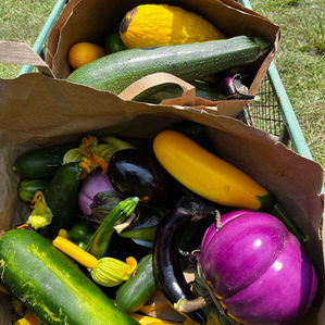 caponata: the sweet, the sour, and the soul of Sicily