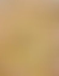 parmigiano shortbreads with mortadella and ricotta