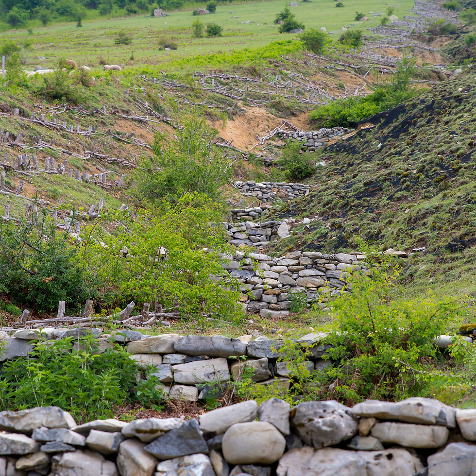 EROSION CONTROL WORKSHOP