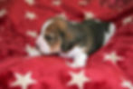 Finja (8)