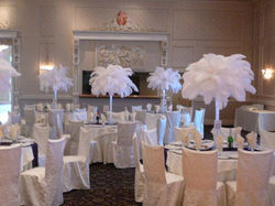 561294_463799440306340_1471559902_n