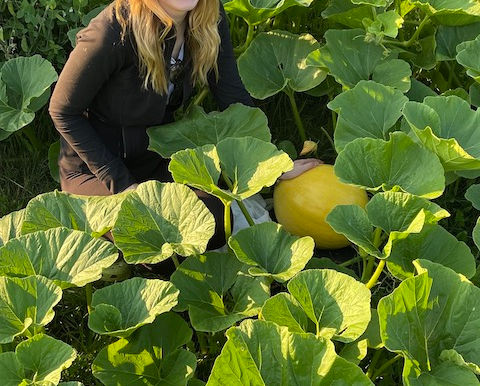 July Giant Pumpkin Update
