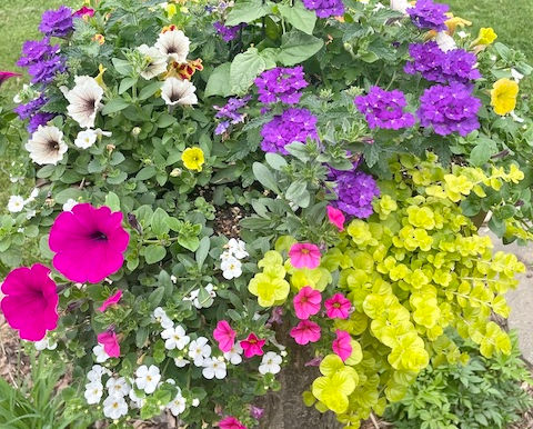 Planting Containers
