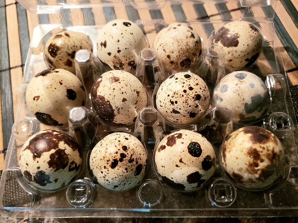 Thumbnail: Coturnix Quail Eggs