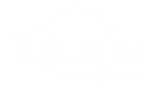 BARNDO CHICK LOGO.png