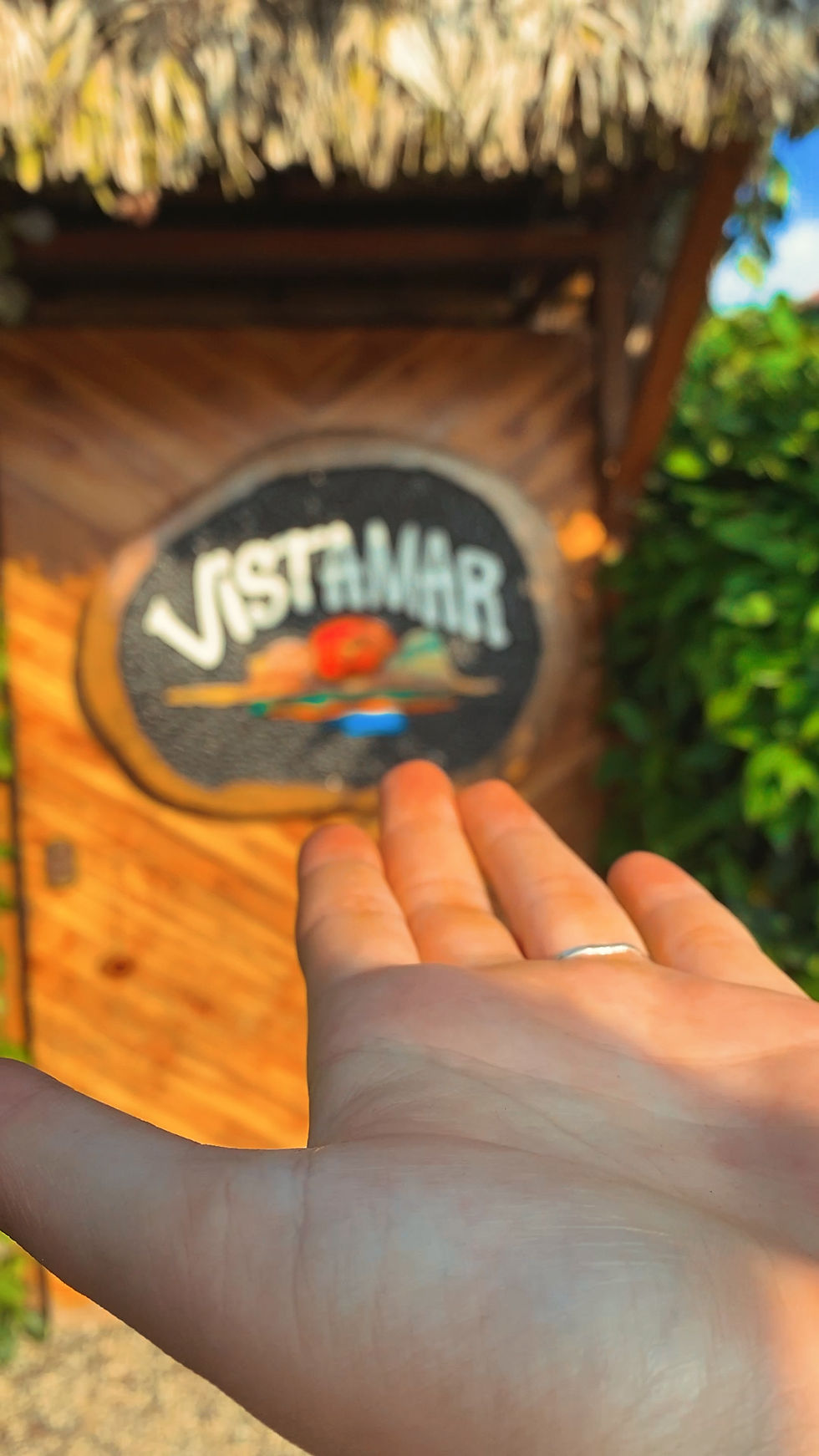 Vistamar Ayampe door
