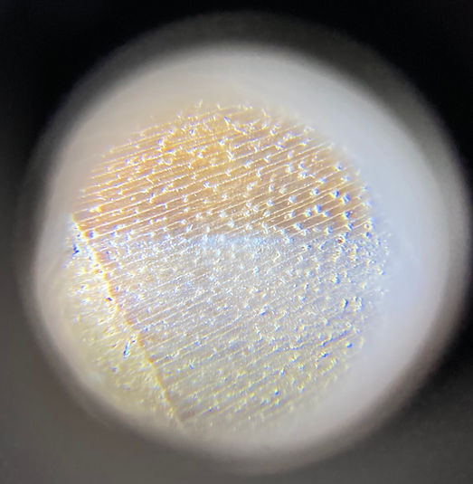 Ghanaian teak pore structure x10 magnification (1).jpg