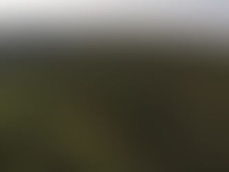 How insurance innovation could unblock billions for nature-based climate solutions