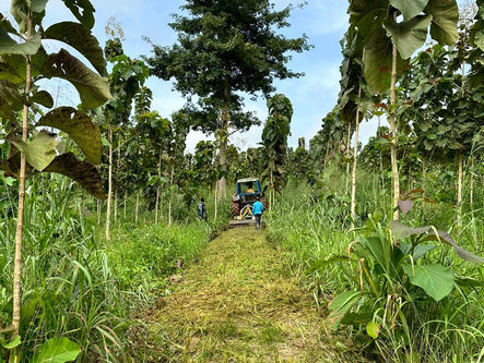 Carbon Credit Certification