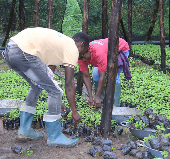 Green Ghana 2022 146.JPG