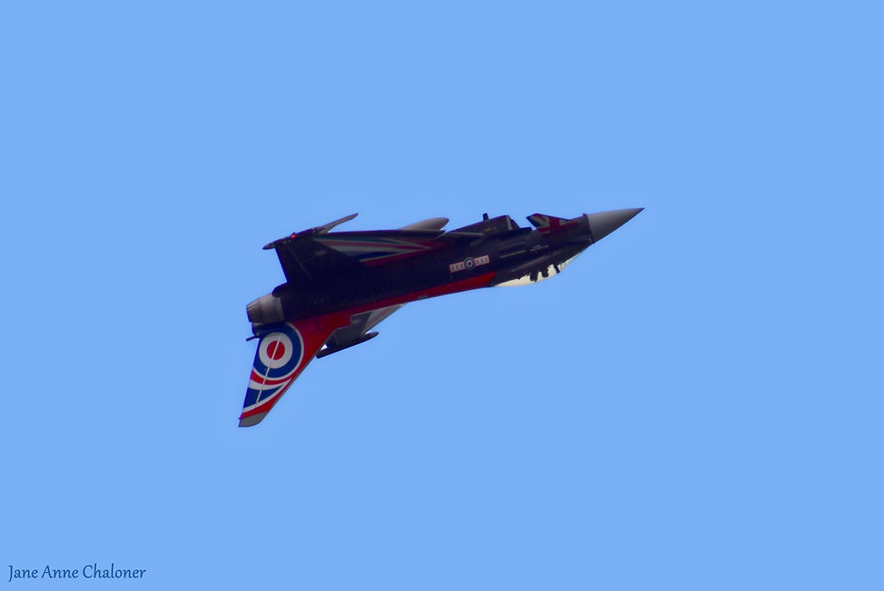 Typhoon