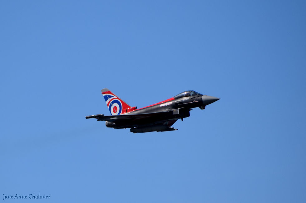 Typhoon