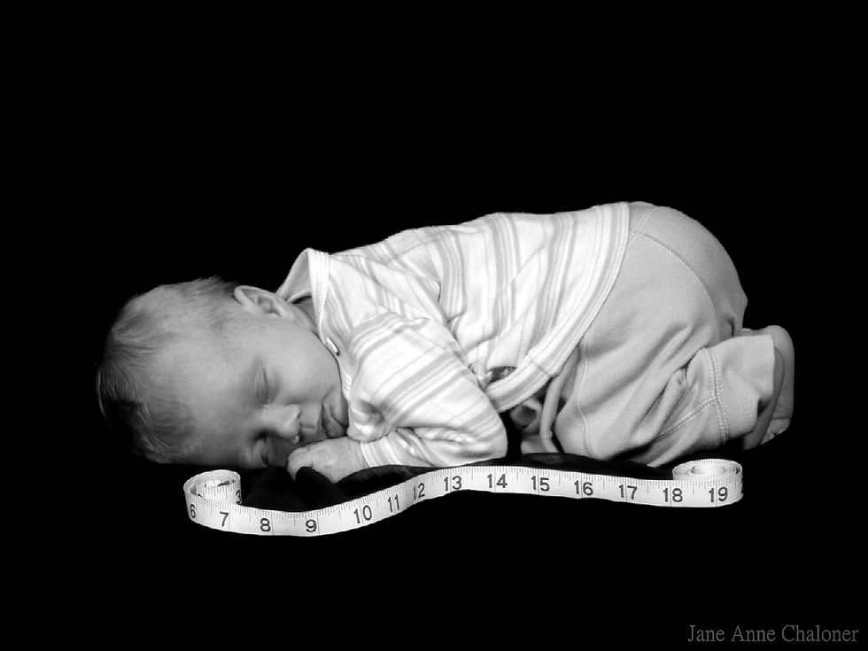 Copyright Jane Anne Chaloner