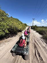 IMG_0677.jpg