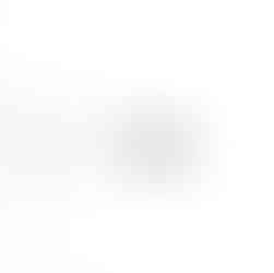 penis necklace with sterling silver penis pendant and silk cord