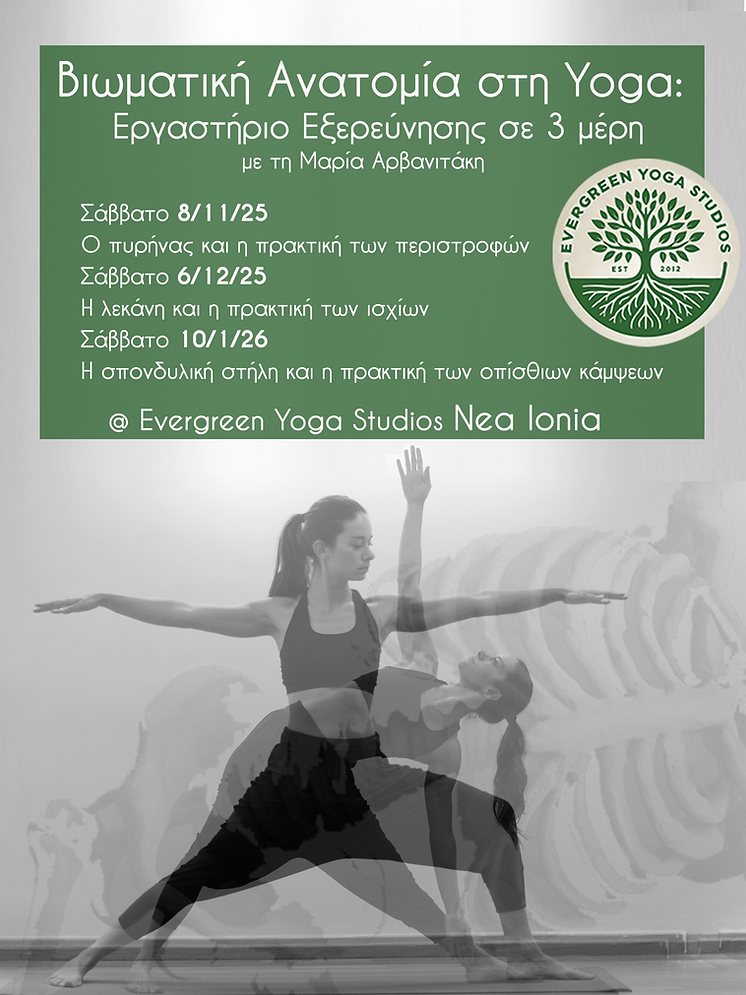 Experiential anatomy.png