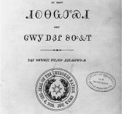 Week 3: Sept. 27 - Oct. 1