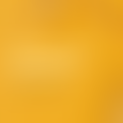 Week 13: Dec. 13 to Dec. 17