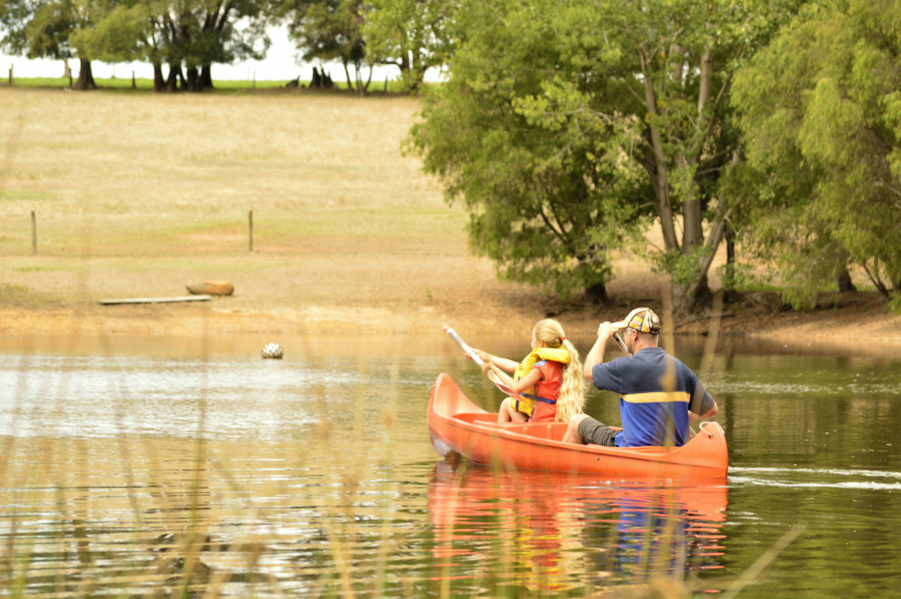 Pemberton Accommodation Diamond Forest Cottages