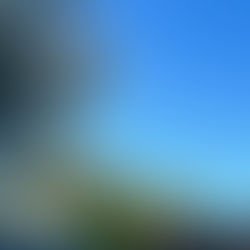 Saying What We Mean…or Meaning What We Say?