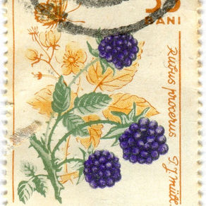 A Letter To Nobody In Particular