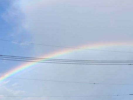 今月17日にきらめきプラザで開催の【福祉教育セミナー】に私も参加したいと思っています!