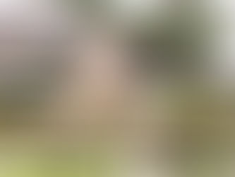 先日の(母校)玉原小学校入学式の写真です📷