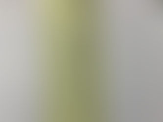 習字教室の子ども達が七夕の時に書いていた短冊🎋