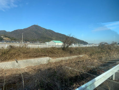 鴨川の河川堆積物除去作業風景。夏は河川内に樹木が密林のごとく生い茂っていました。
