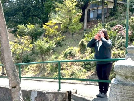 Yahooニュースに✨【玉野市】奇岩の聖地・玉野の玉比咩神社でロックに愛を叫ぶ1日!ライブやアートワークショップも