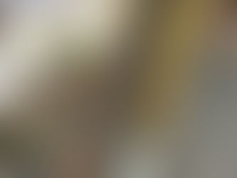げ、、、、げ、、、げんげん元禄16年って(驚)