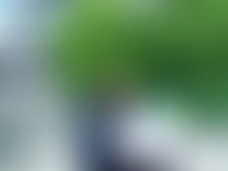 議員徽章を頂戴し襟元に着用させていただきました。