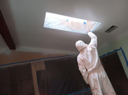 Professional Painting in Action