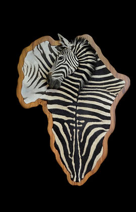 ZEBRA AFRICA DECOR.JPG