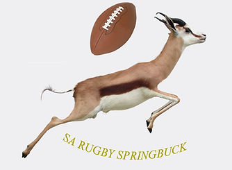 SPRINGBUCKS copy copy 3.jpg