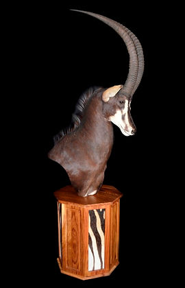 SABLE UPRIGHT PED.JPG