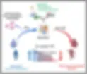 11357_2022_645_Fig6_HTML.png.webp