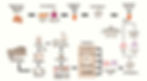 2-9-2-how-to-increase-exosome-production-1.jpg