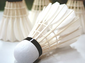Le badminton d'ecublens, Bad pour Tous est une association sportive. N'hésitez à venir découvrir notre sport, le badminton et passer un moment sans complexes dans la bonne humeur ou tous niveaux confondus sont les bienvenus 16 ans révolu.